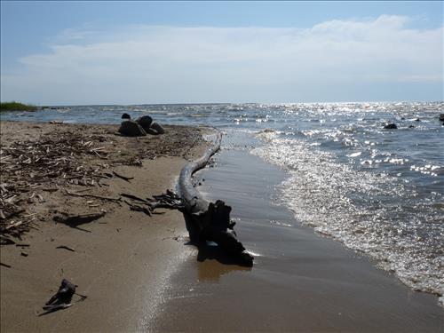 Birch Point Campground