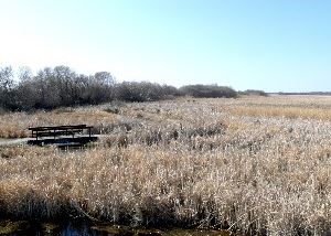 Lundar Beach Campground